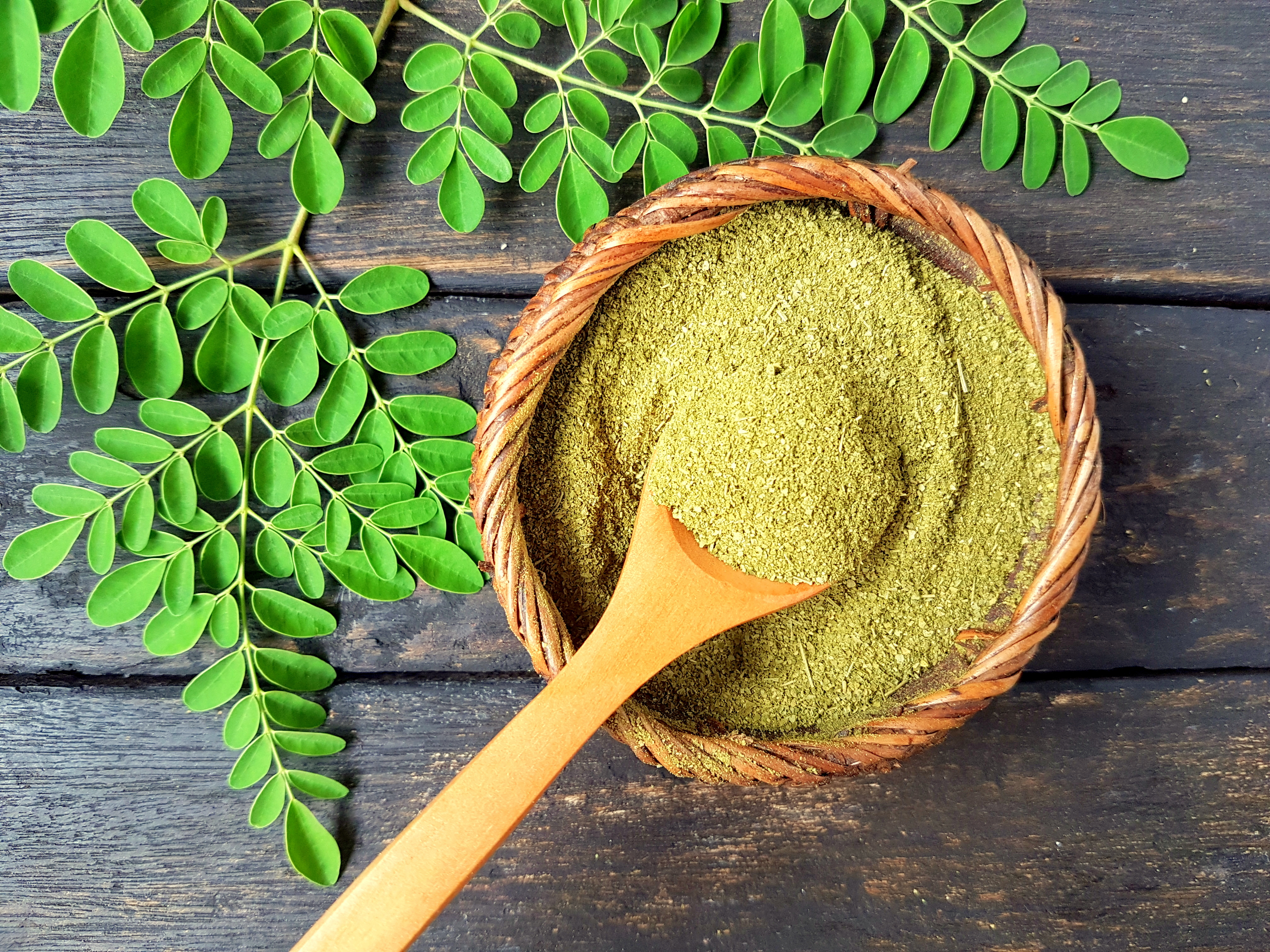 moringa powder