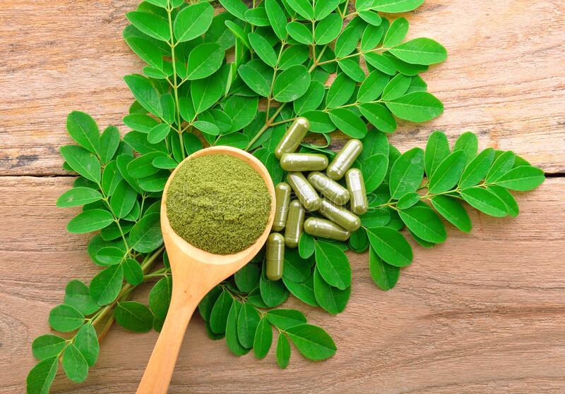 moringa leaf with powder and capsule